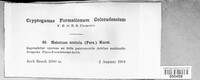 Image Associated With the Occurence